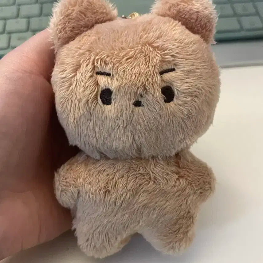 더보이즈 현재 인형 달곰