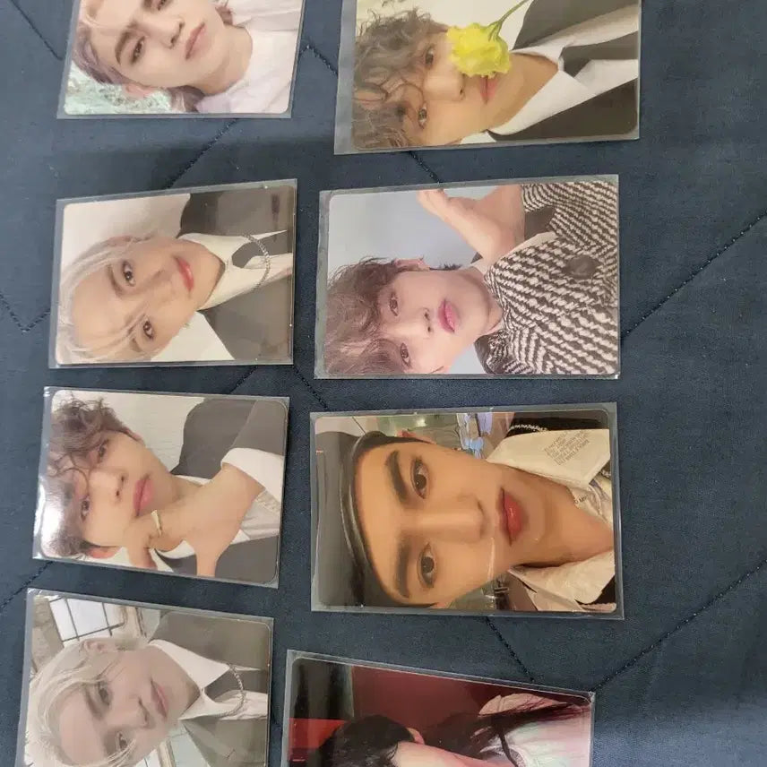 세븐틴 에스쿱스 포카