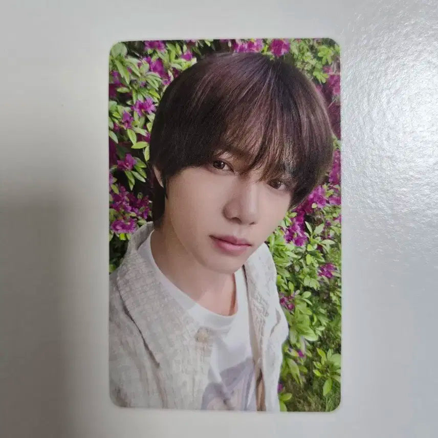 범규 치카이 일본 회장 한장 포카