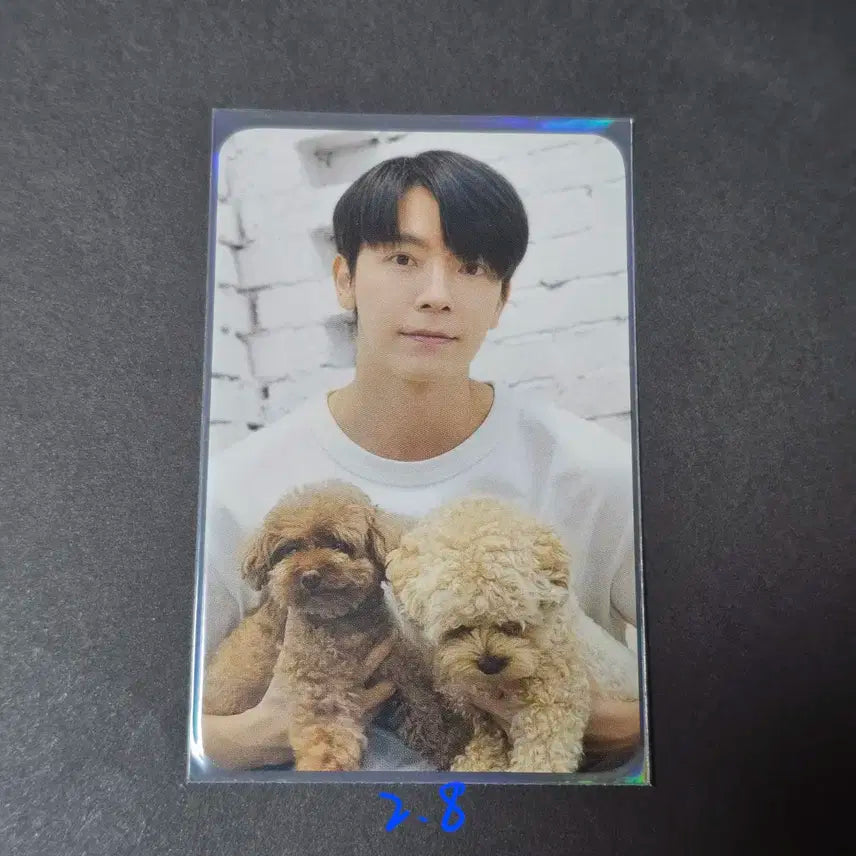 슈퍼주니어 SUPERJUNIOR 이동해 포카 양도 강아지