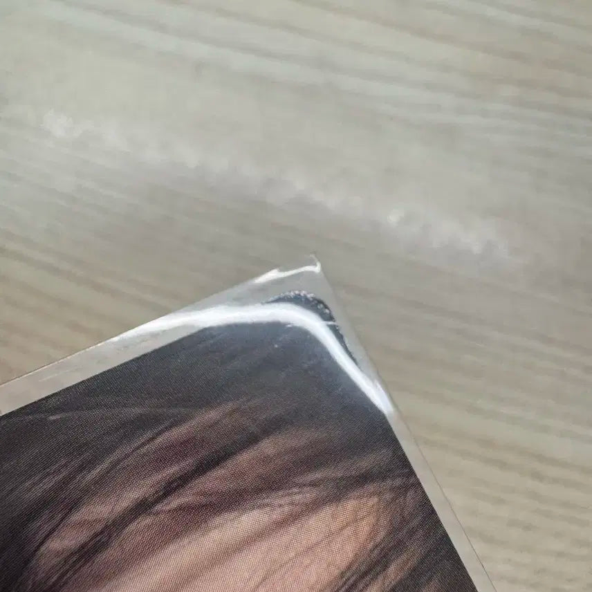엔시티위시 팝팝 리쿠 앨포 양도