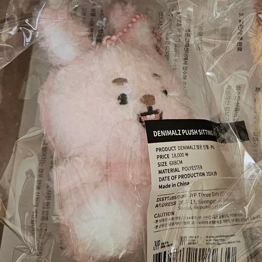 데이식스 데니멀즈 앉은 필