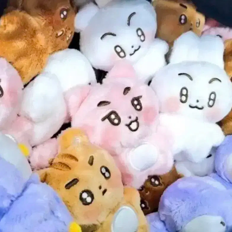 뽀바투 뽀송밤 판매