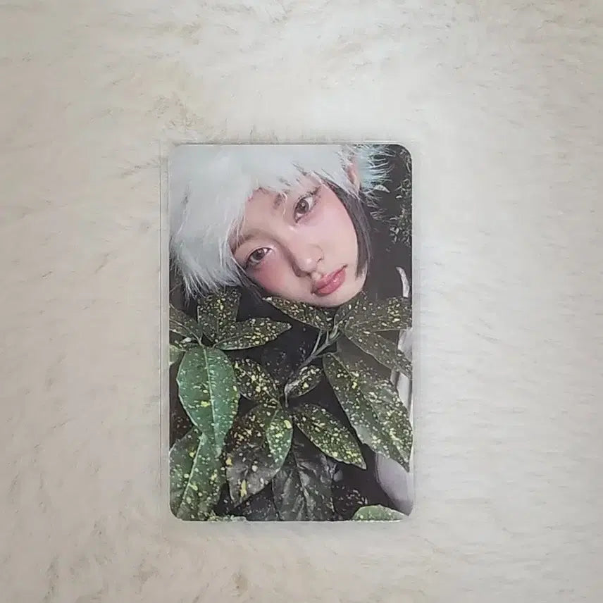 키키 키야 BTG 공방포카 양도