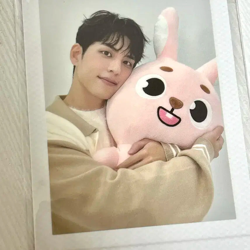 데이식스 자이언트 데니멀즈 원필 폴라