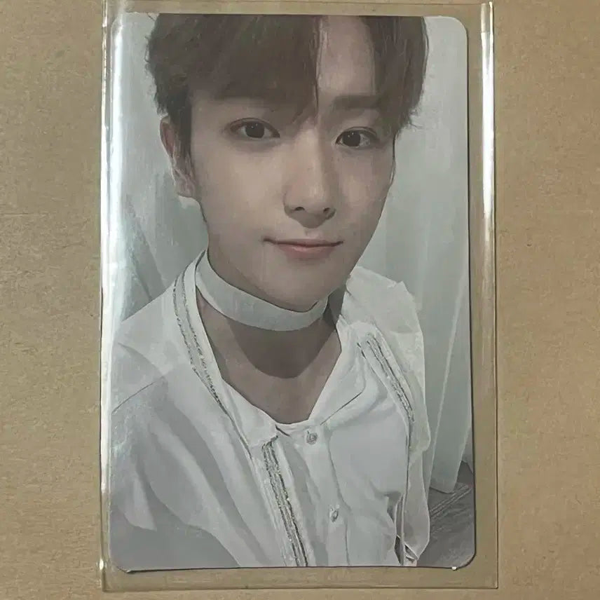 더보이즈 현재 도원경 포카