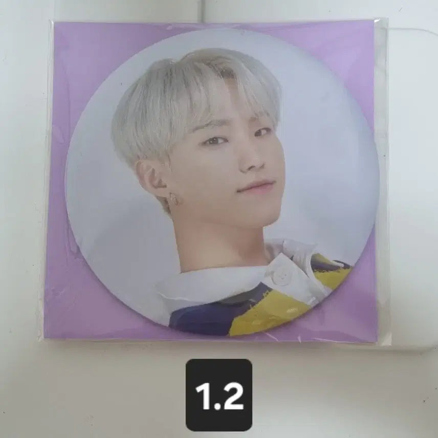 (미개봉) 세븐틴 호시 캐럿랜드 빅 핀버튼 양도