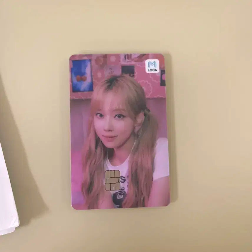 윈터 교통카드