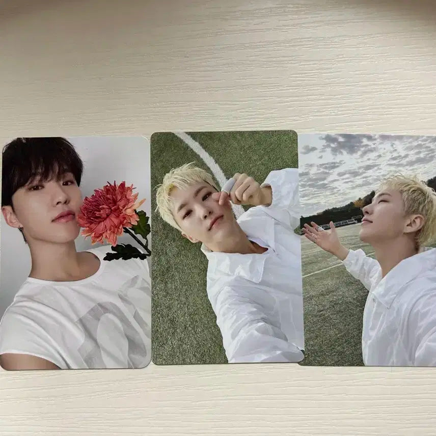 세븐틴 호시 포카 양도해요 팔아요 권순영