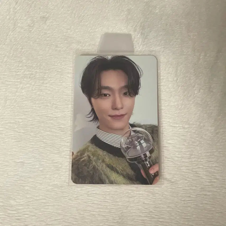 세븐틴 2025 캐럿랜드 캐럿존 디노 양도