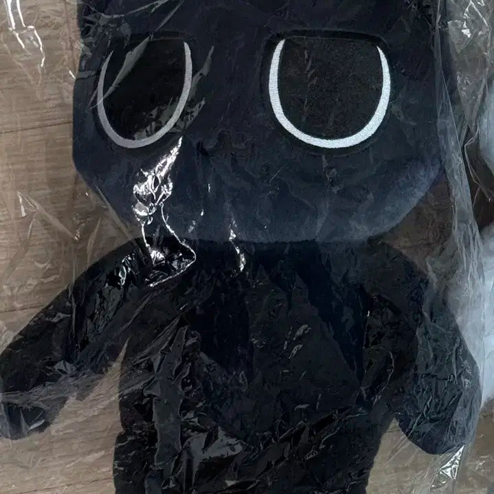 에스파 카리나 왕직냥이