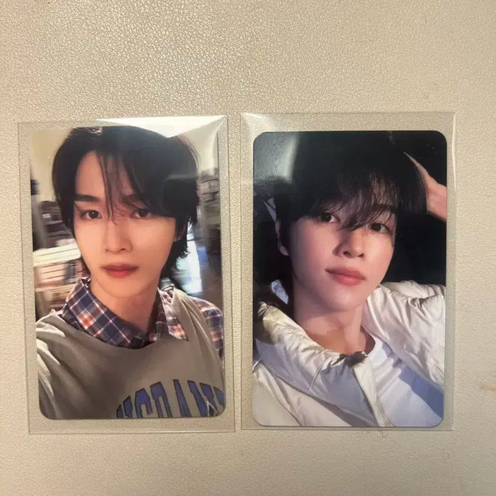 덤!)오디세이 earth버전 성찬 포카 세트