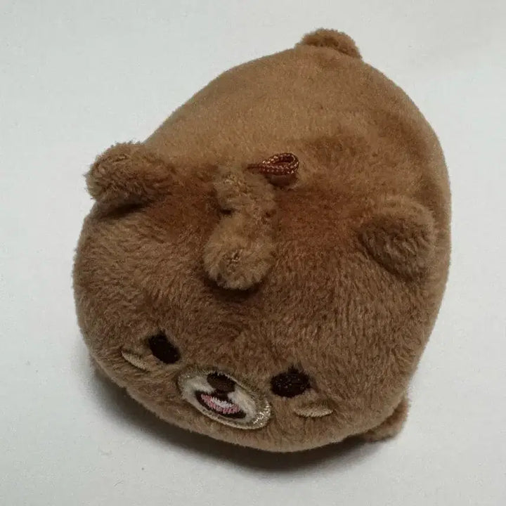 [단순개봉] 데이식스 21데니멀즈 사족보행 방