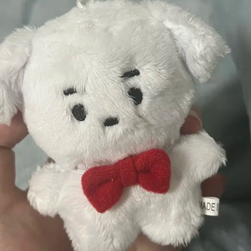 덤폭탄!) 더보이즈 영훈 10cm 인형 빵몽이 양도