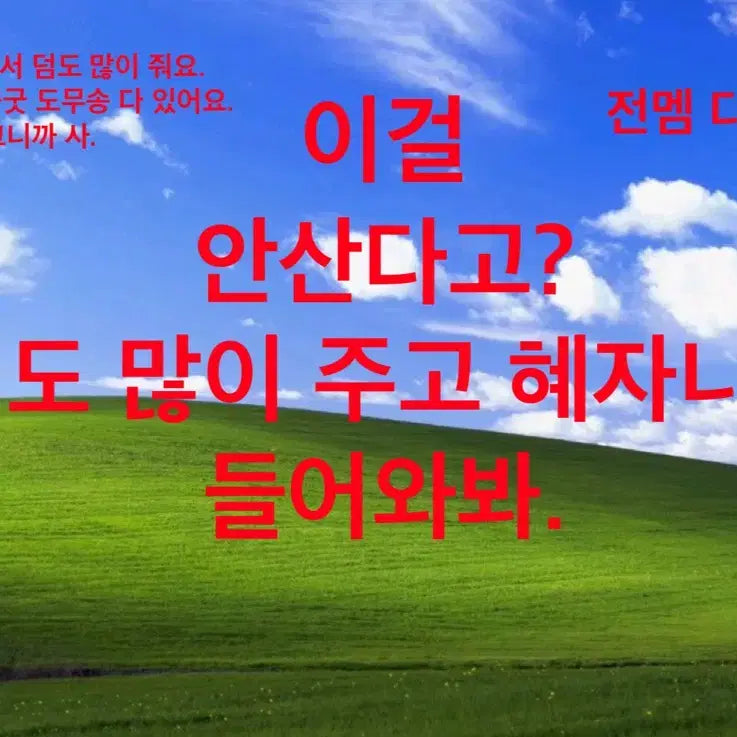 스트레이키즈(스키즈) 창빈 포카