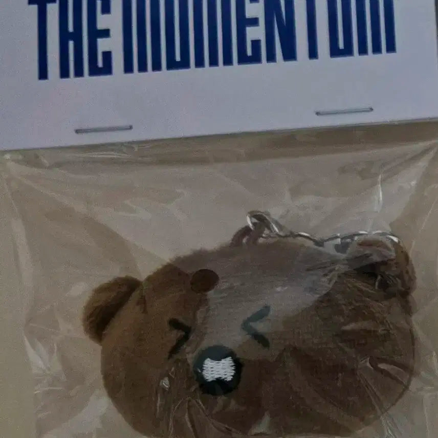 모멘텀 도쿄 한정 인형 키링 (해찬)