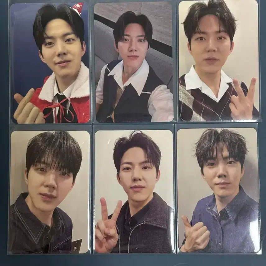 데이식스 도운 포카 일괄