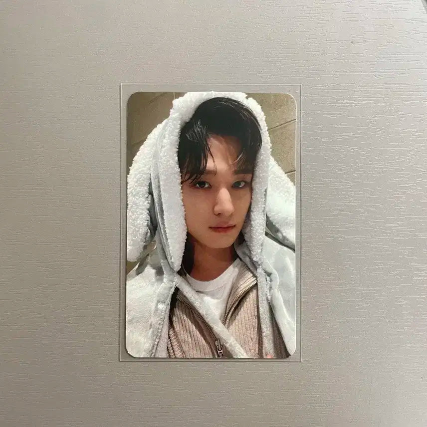 더보이즈 주연 토끼담요 포카 미공포