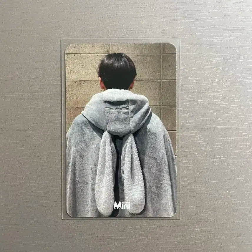 더보이즈 주연 토끼담요 포카 미공포
