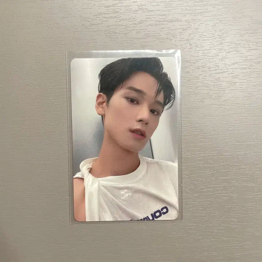 더보이즈 주연 호마이카링 포카