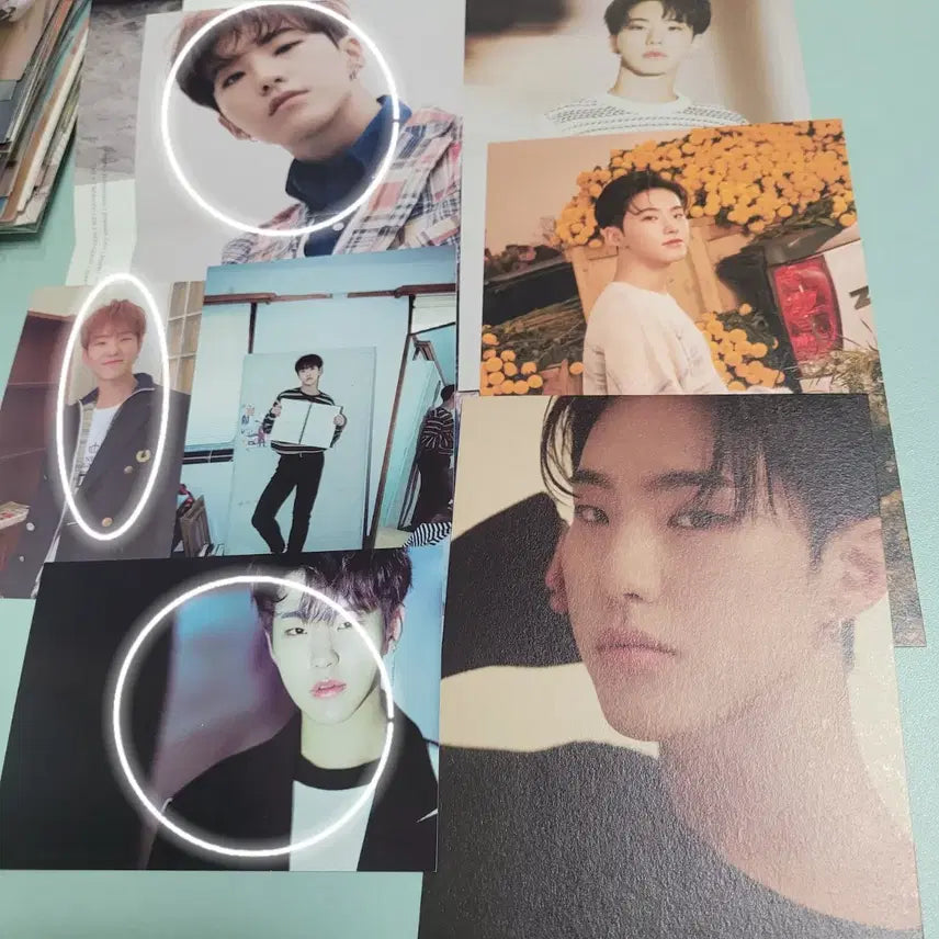 세븐틴 호시 공식 굿즈 일괄 판매