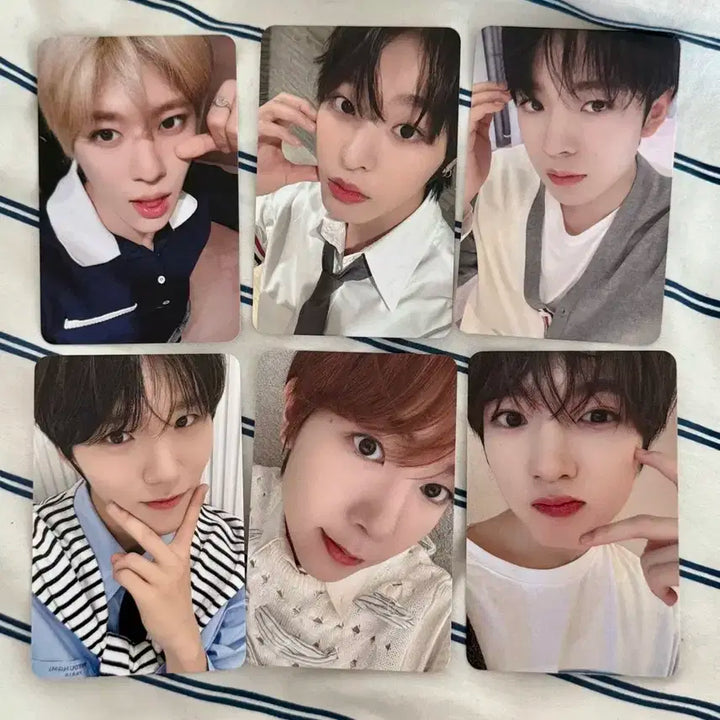 (1set)엔시티위시 뮤브*톰브라운*영통 미공포 250514