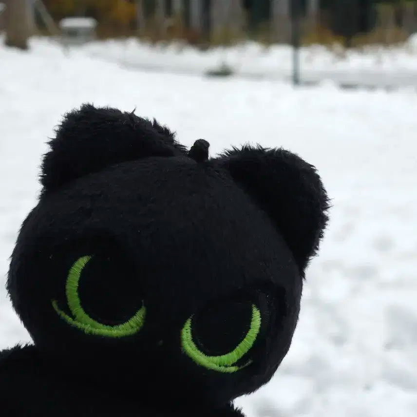 더보이즈 주연 인형 왹쭈