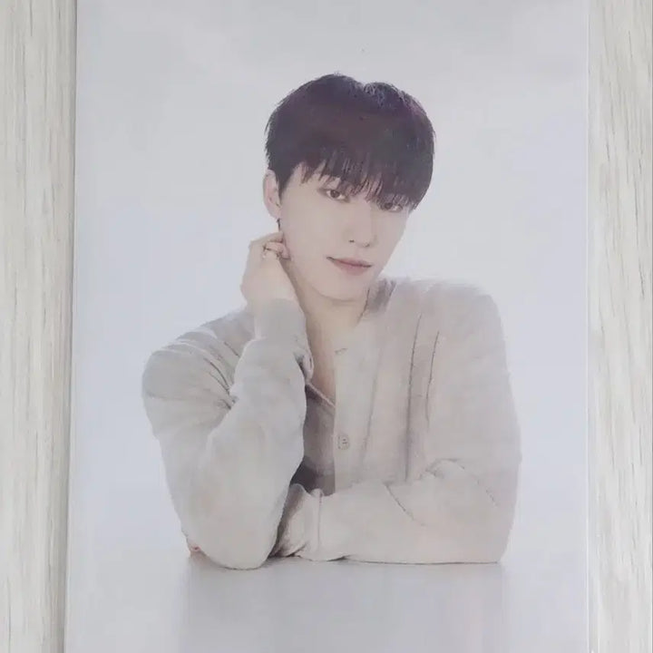 세븐틴 디노 아티스트메이드 포카 캔들 와인잔 팝업 엽서 특전