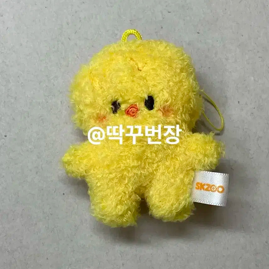 스키주 마이크로 키링 뽁아리