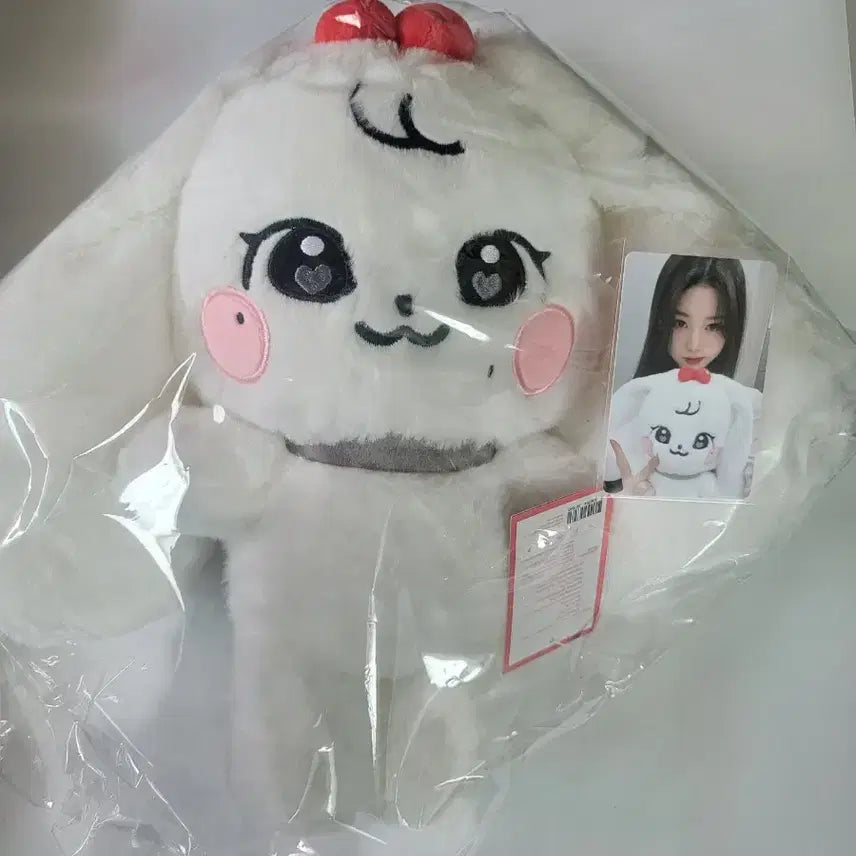 미니브 체리 원영 플러시 인형