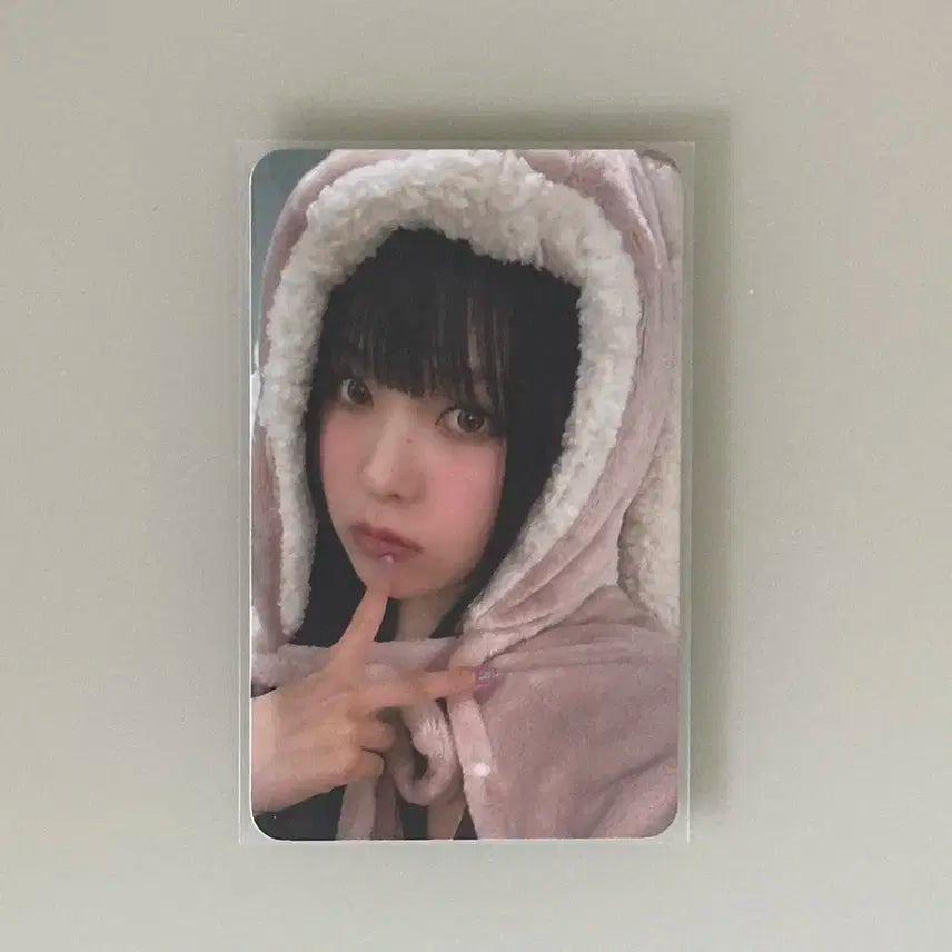 엔믹스 규진 토끼담요 포카 엑스페르고 에버라인 럭드 럭키드로우 미공포
