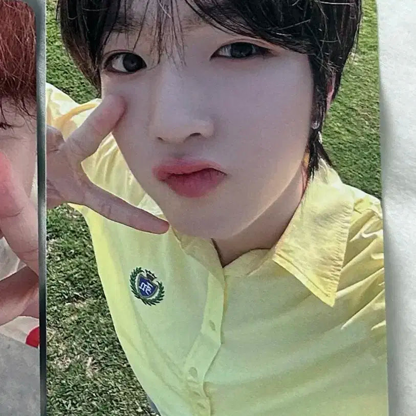 엔시티위시 nctwish 팝팝 디마뮤 디어마이뮤즈 사쿠야 포카 미공포