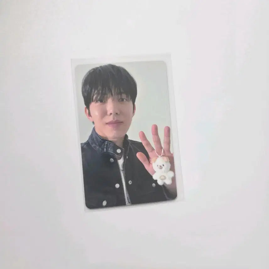 데이식스 클리어 파우치 돈이 도운 포카