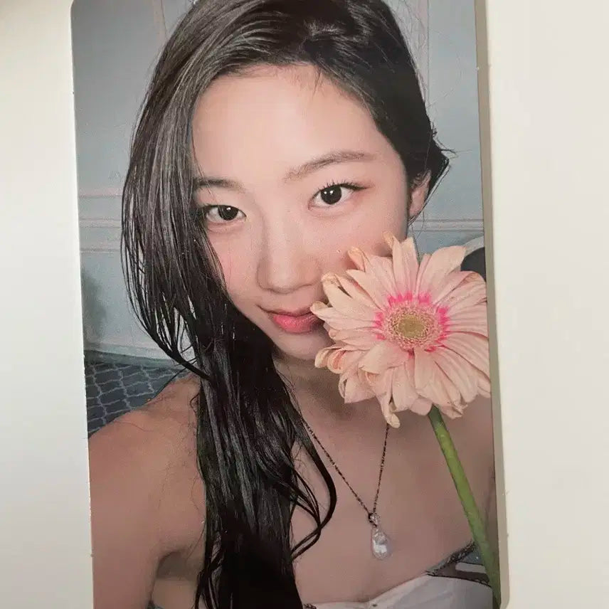 르세라핌 카즈하 피어레스 포카