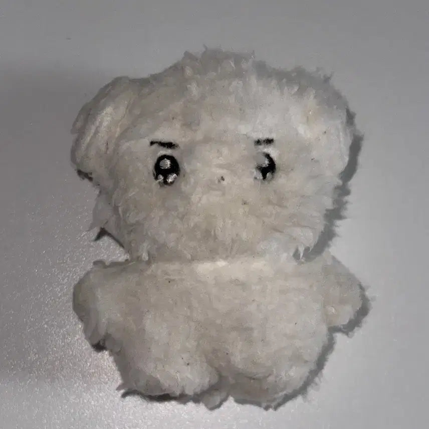 더보이즈 김영훈 인형 빵꼬미 양도 판매