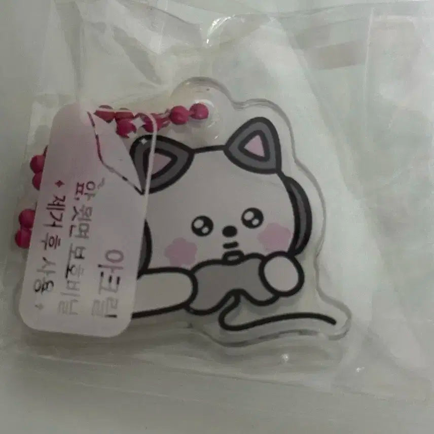 르세라핌 핌즈클럽 사쿠라 사꾸꾸 키링 hot 공방 역조공