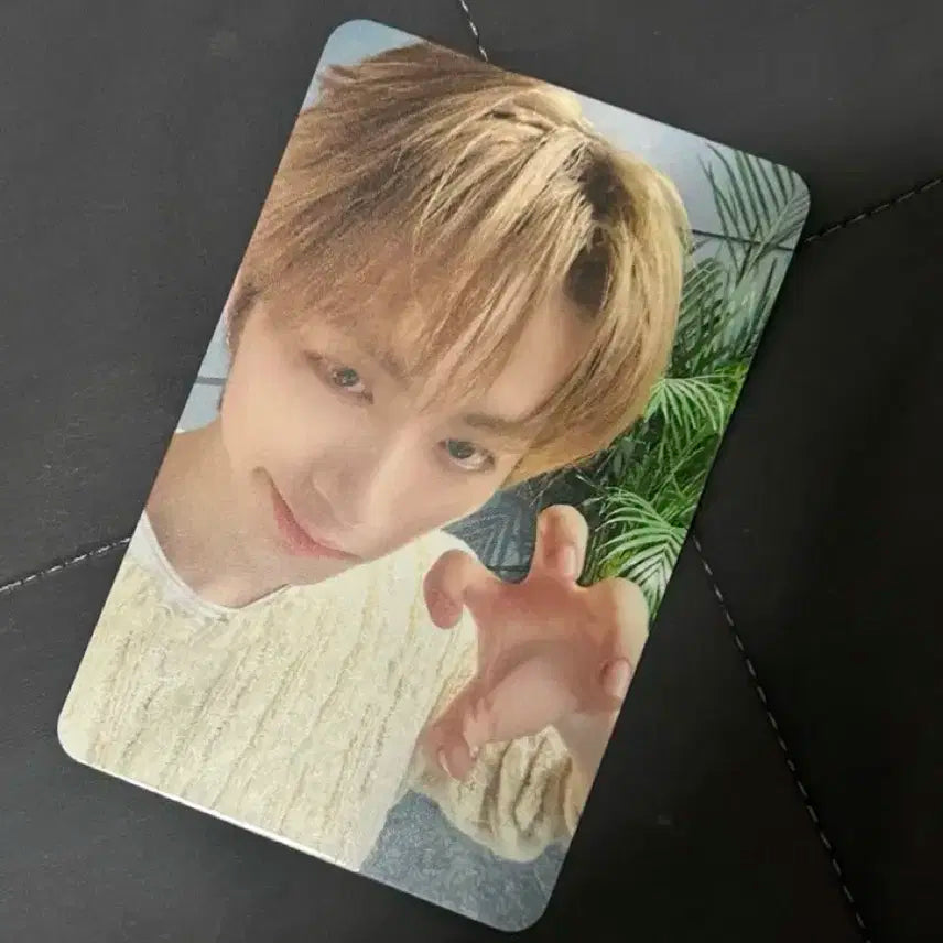 보넥도 뮤브 태산 미공포 포카 양도