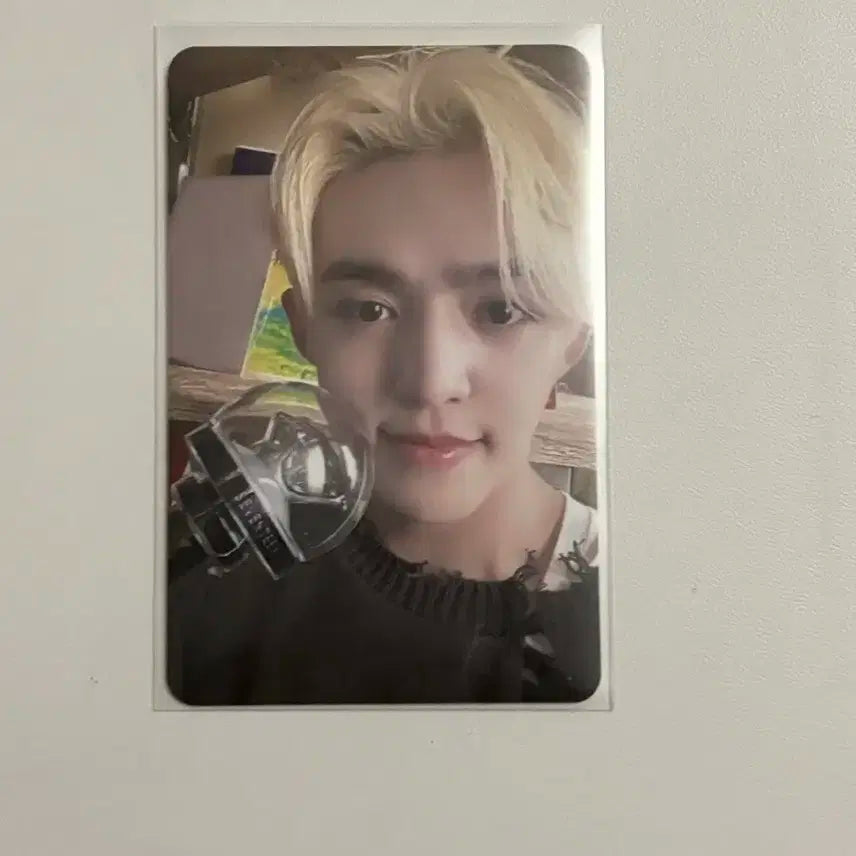 세븐틴) 에스쿱스 캐럿존 판매 :)