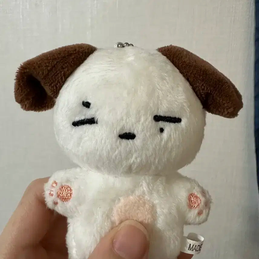 데이식스 비공굿인형 윤강쥐