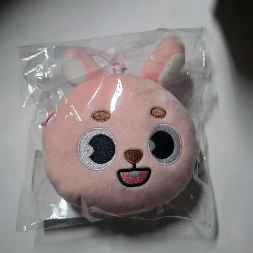 데이식스 앙콘 엠디 릴패스 파우치 필 원필 단순개봉