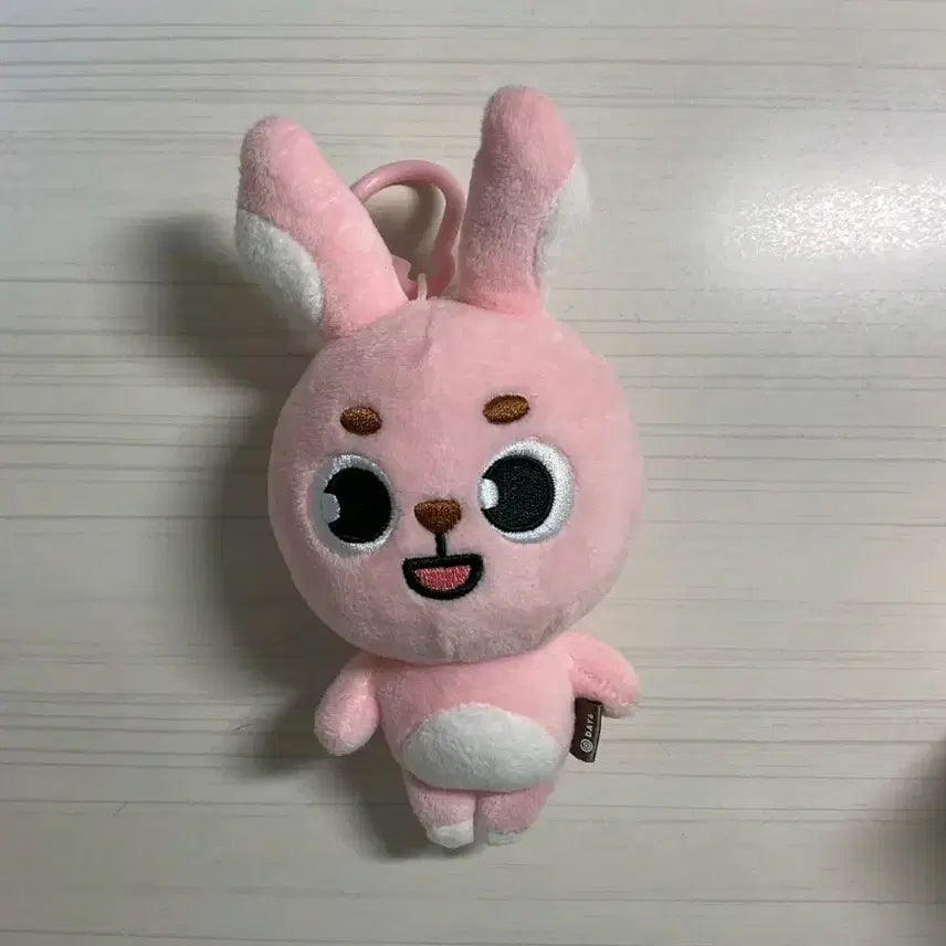 데이식스 데니멀즈 23필끼 원필