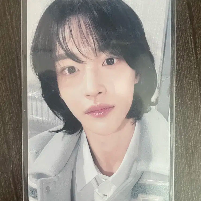 라이즈 원빈 이즈위 보상포카 양도