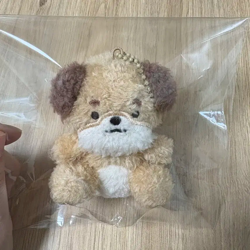 데이식스 앉은 돈 데니멀즈 싯팅 쁘띠멀즈