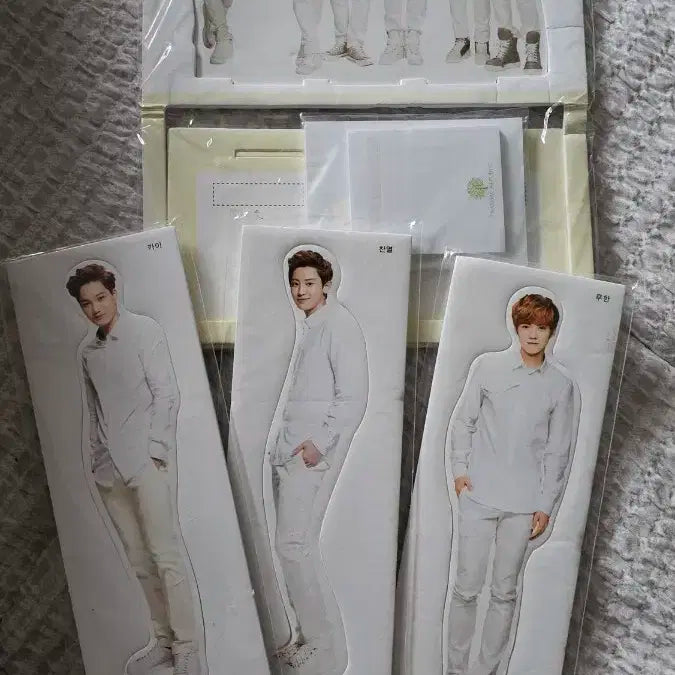 엑소 네이처리퍼블릭 등신대