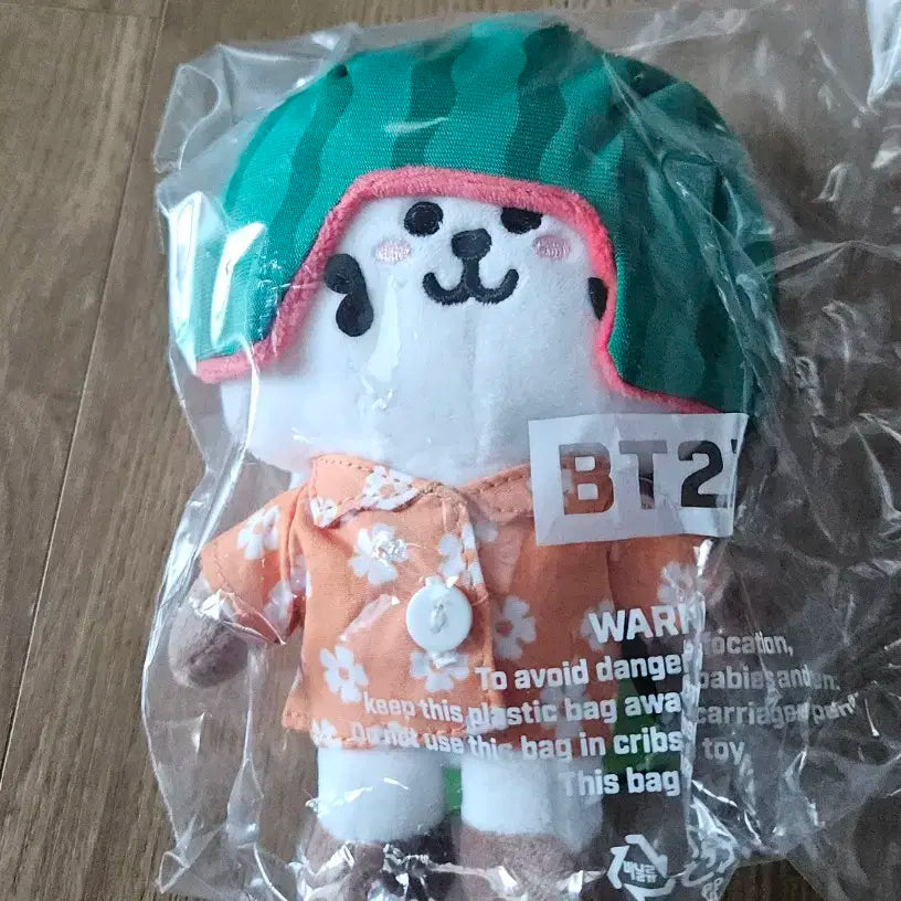 BTS BT21 RJ