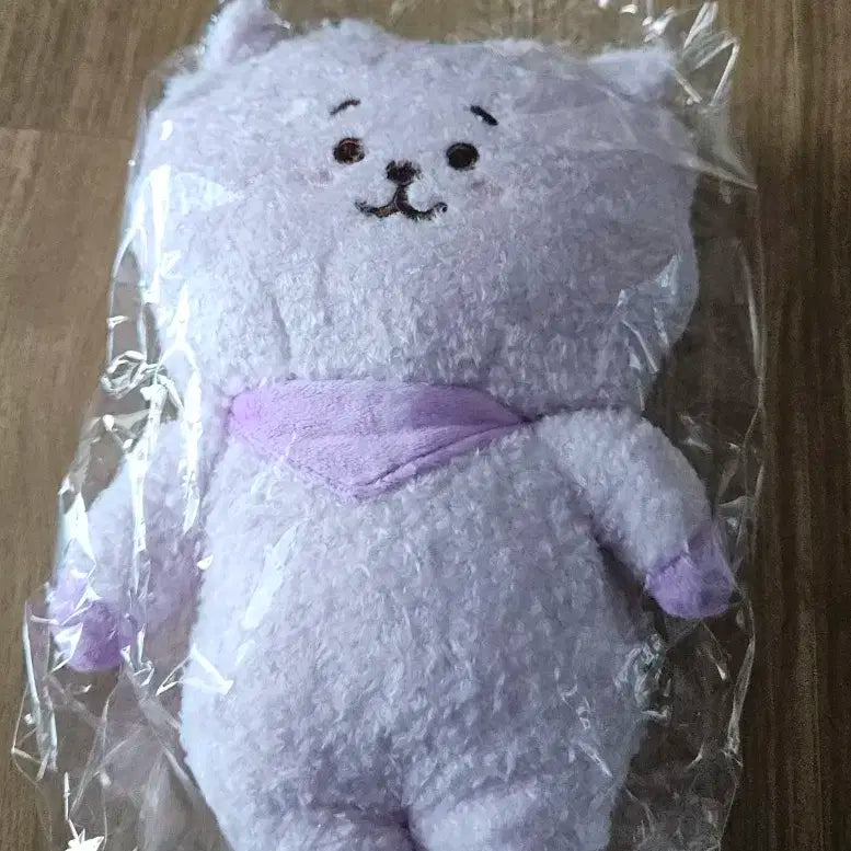 BTS BT21 RJ 보라