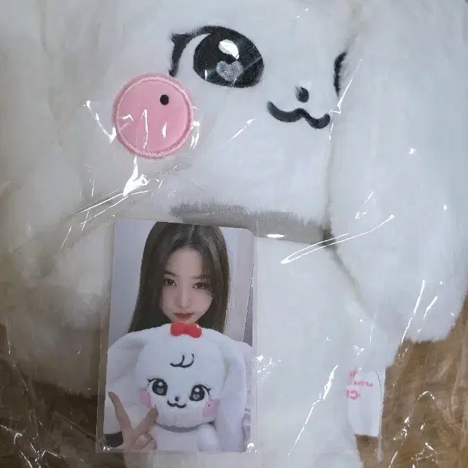 포카o)아이브 미니브 스쿨 팝업 30cm 장원영