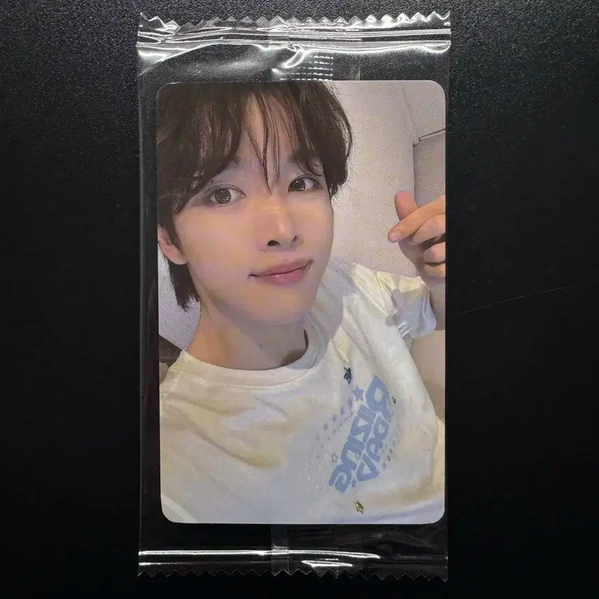라이즈 성찬 케타포 미공포 붐붐베 포카
