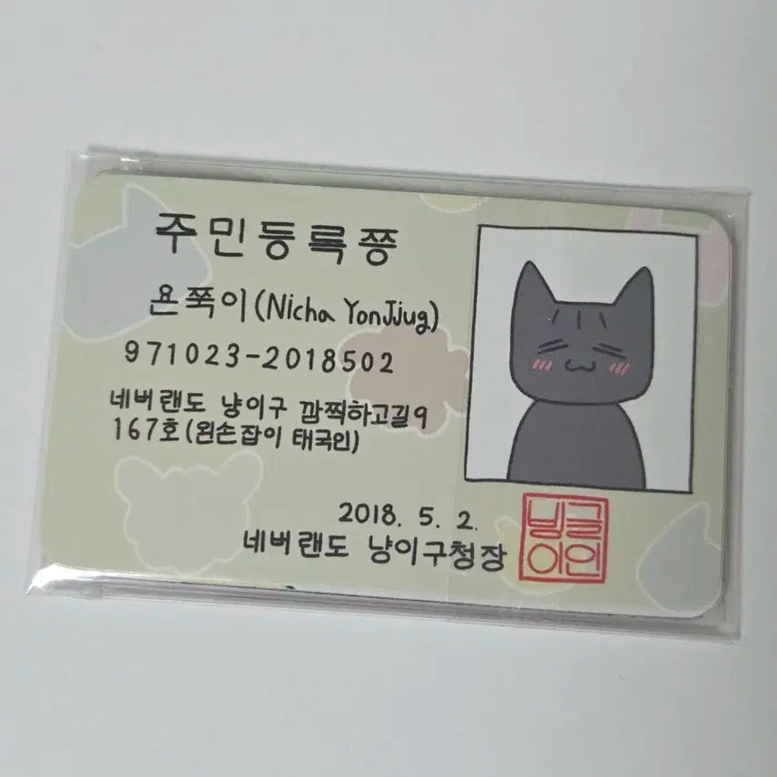 아이들 민니 욘쭉이 (특전 ㅇ)