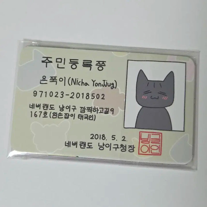 아이들 민니 욘쭉이 (특전 ㅇ)